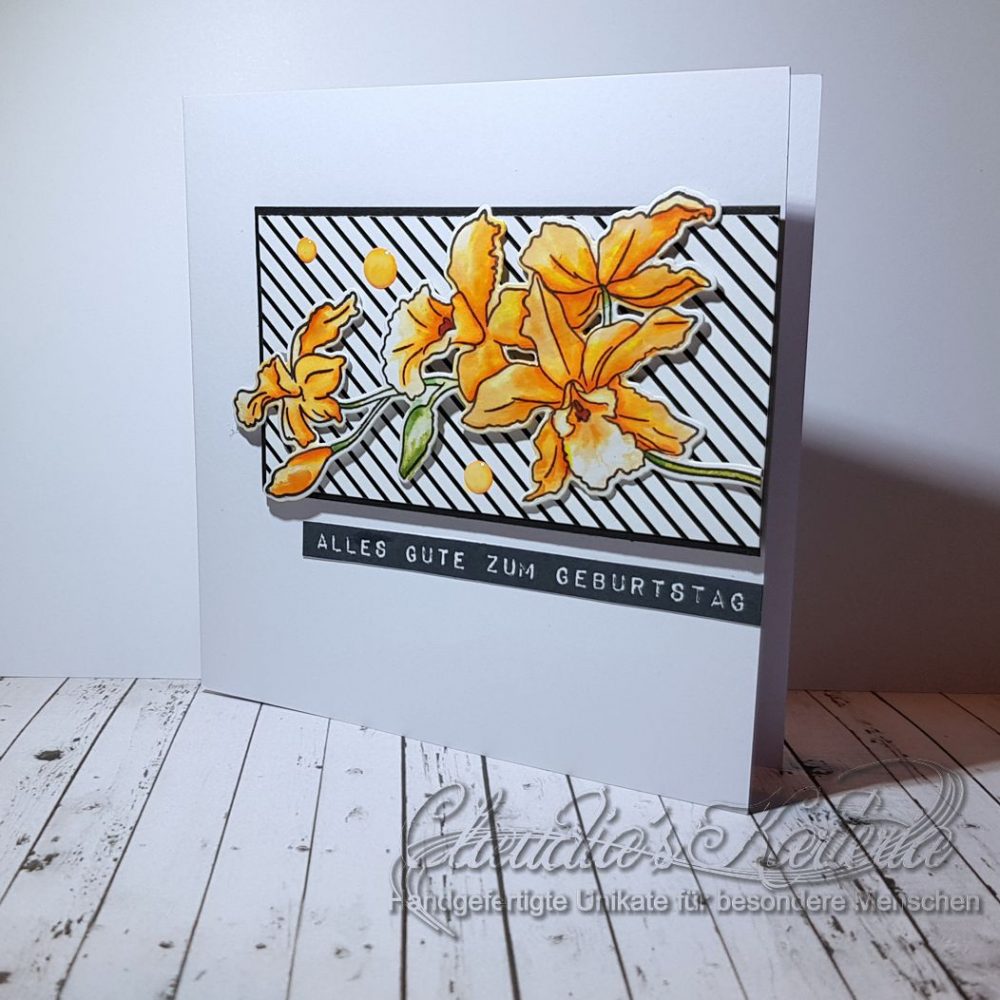 Cattleya zeitlos auf schwarz-weiss | Geburtstagskarte