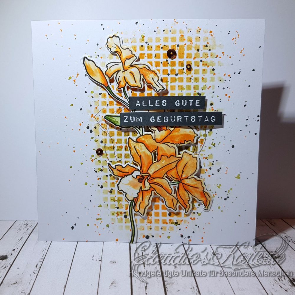 Cattleya auf Gitter | Geburtstagskarte