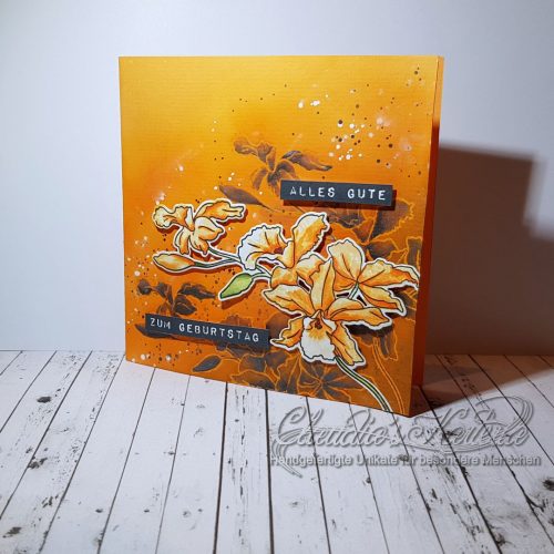 Cattleya auf Schattenorchidee | Geburtstagskarte