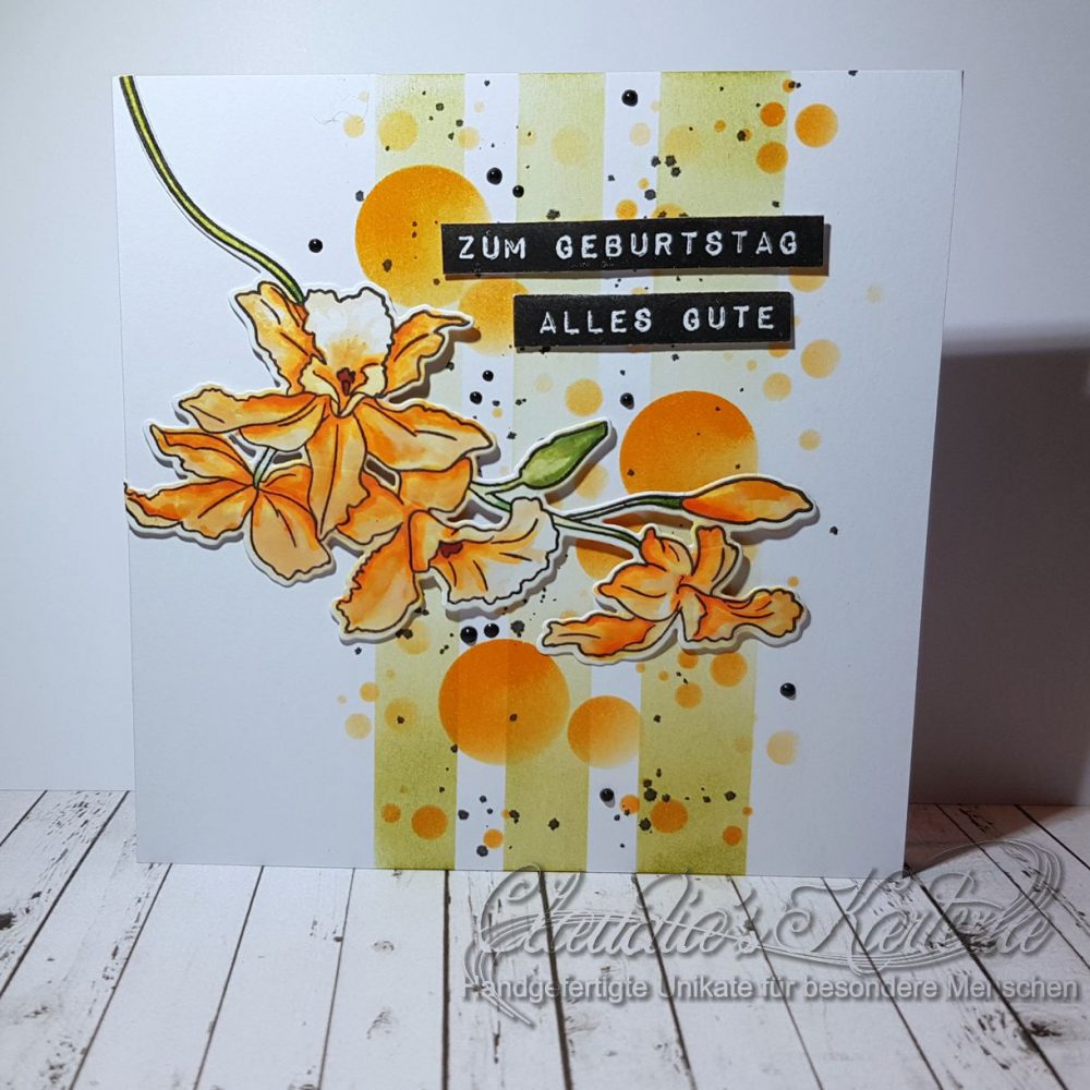 Cattleya auf Bokeh-Streifen | Geburtstagskarte