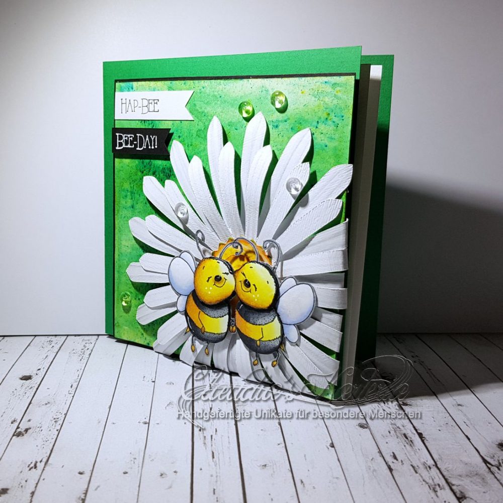 Hap-bee Bienchen auf Margerite | Geburtstagskarte