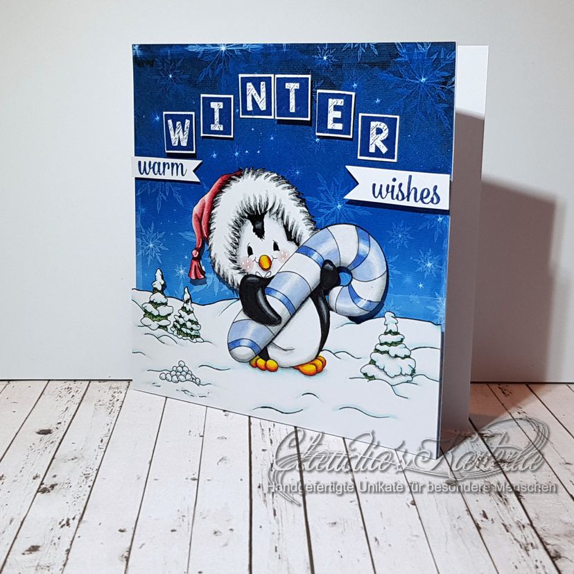 Warme Pinguin-Winternacht-Grüsse | Geburtstagskarte