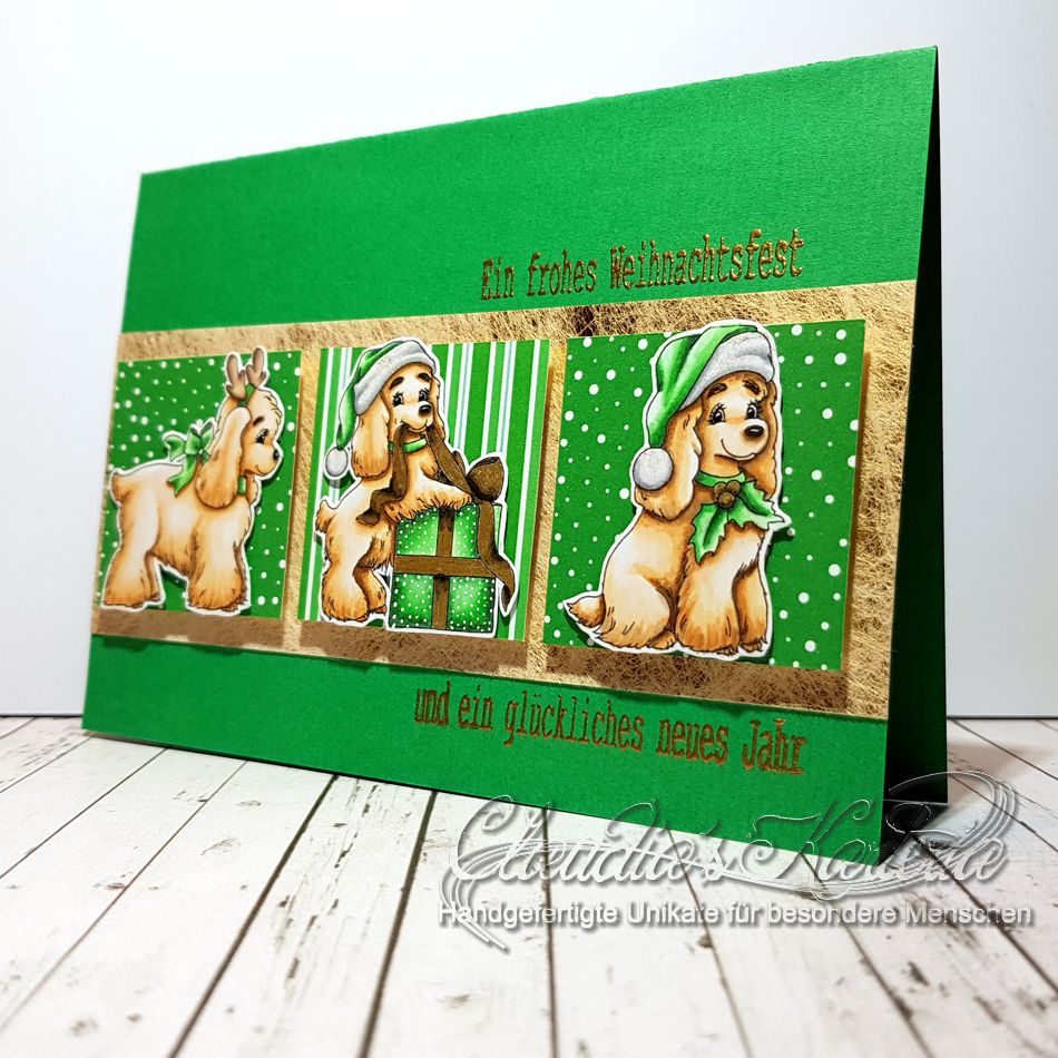 Spaniel voller Vorfreude auf grün | Weihnachtskarte